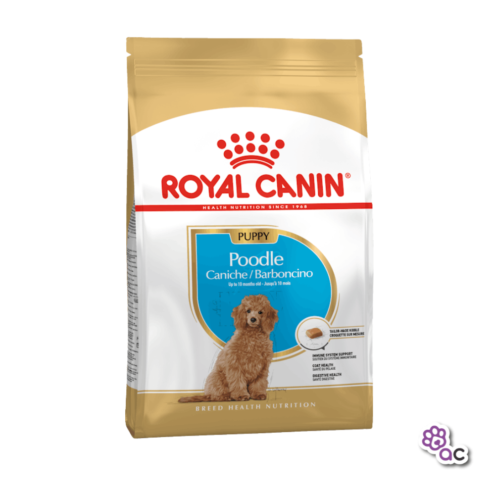 ROYAL CANIN POODLE PUPPY